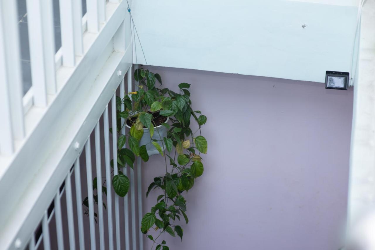 Megi Homestay Nha Trang Eksteriør billede